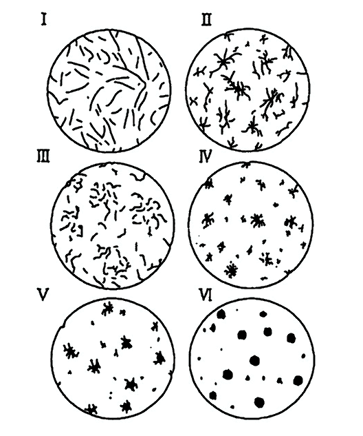 黒鉛球状化率　分類表